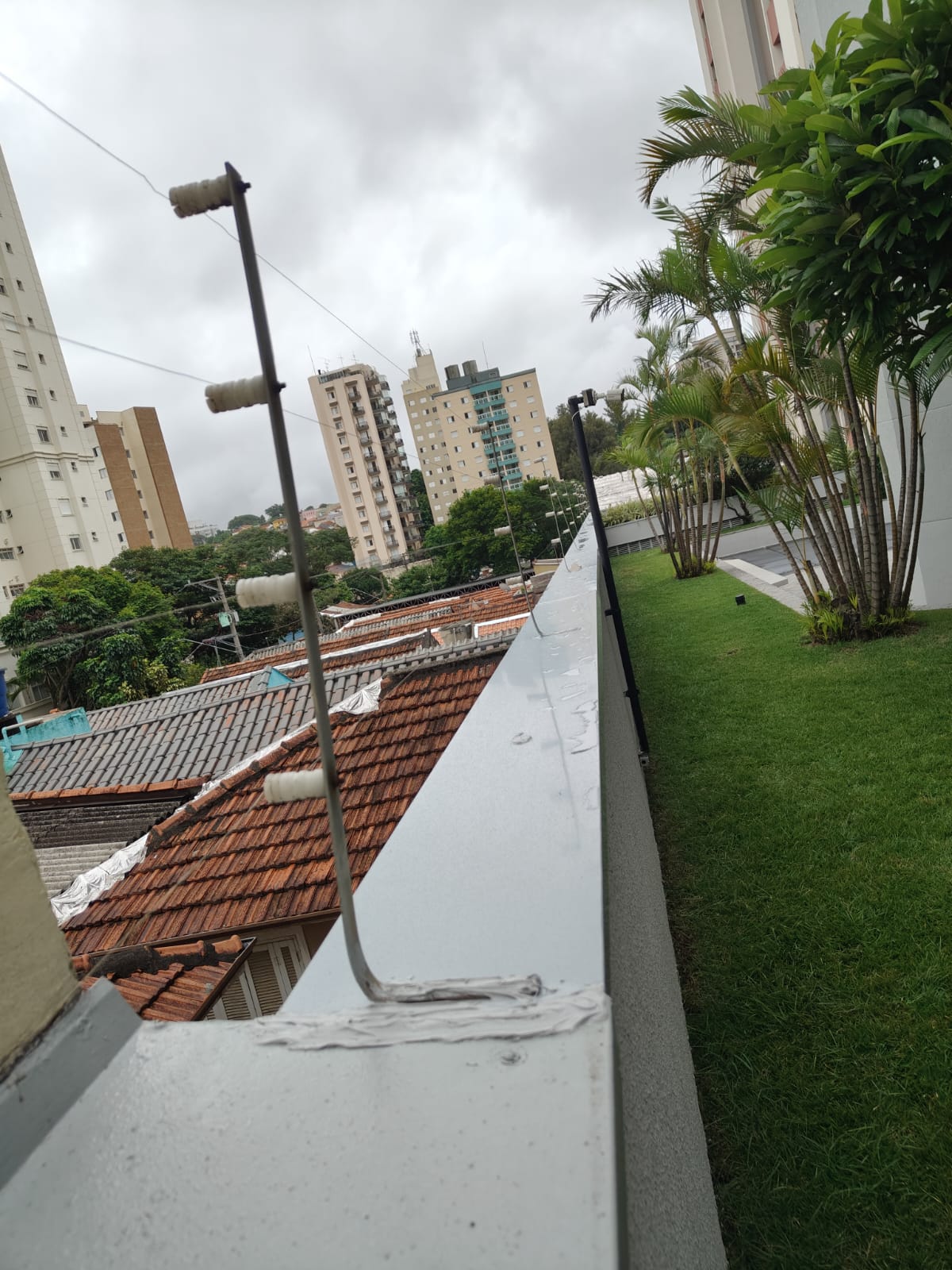 Rufo com cerca elétrica – área externa